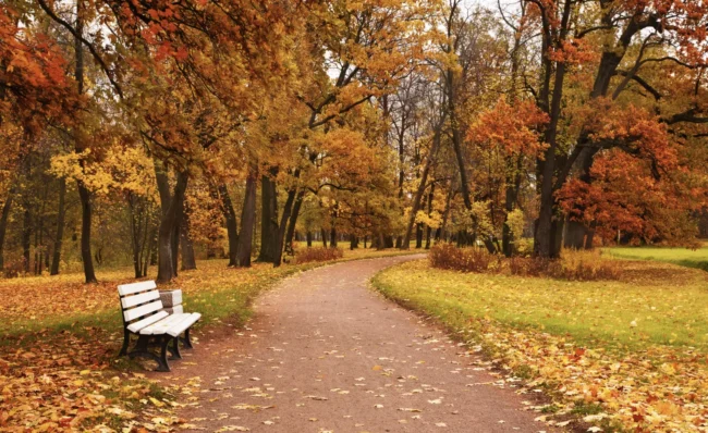 Яке сьогодні свято 7 жовтня 2025 року