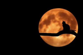 Місячний гороскоп на 16 жовтня: поради та попередження