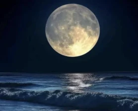 Місячний гороскоп на 20 жовтня для всіх знаків Зодіаку