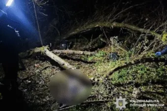 На Полтавщині у лісі знайшли труп: деталі розслідування