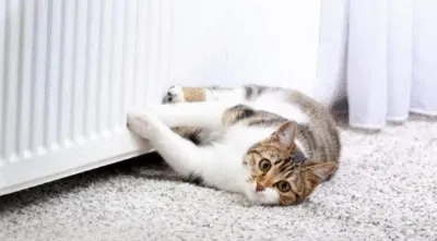 В Полтаві до кінця 29 жовтня планують увімкнути щонайменше 70% котелень