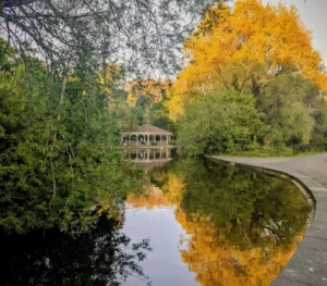 4 жовтня 2025: що святкуємо в Україні – від церковних традицій до професійних свят