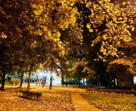 Прогноз погоди на вихідні 25-26 жовтня 2025 в Полтаві: очікується похолодання