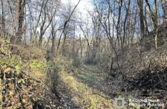 В лісі на Полтавщині знайшли труп 82-річної, яку шукали чотири доби