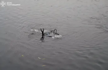 Зниклого підлітка знайшли мертвим на дні ставка в Полтаві