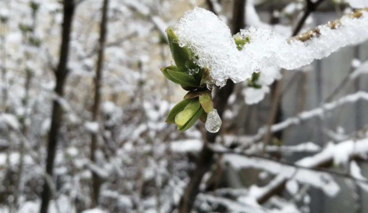 Прогноз погоди в Полтаві 8-12 грудня