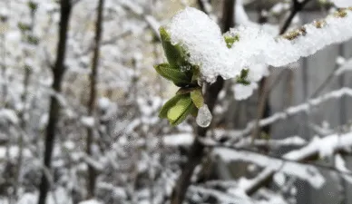 Прогноз погоди в Полтаві 8-12 грудня