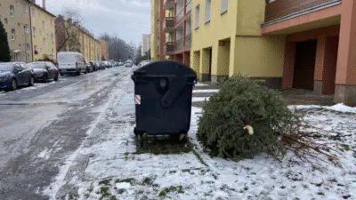 КАТП-1628 просить мешканців Полтави не викидати ялинки у сміттєві баки