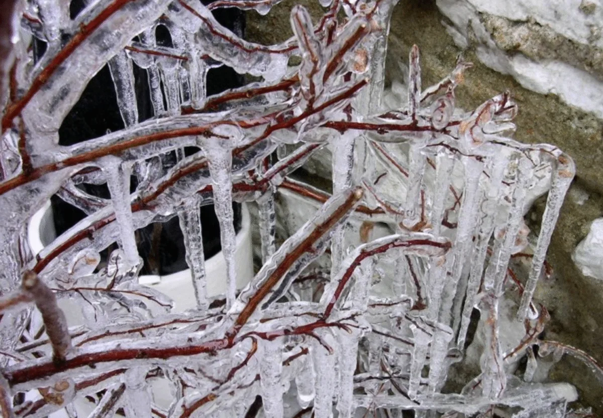 Сильні морози до -30 насуваються на Полтаву й область: оголошено червоний рівень небезпеки