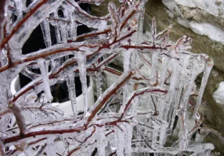 Сильні морози до -30 насуваються на Полтаву й область: оголошено червоний рівень небезпеки