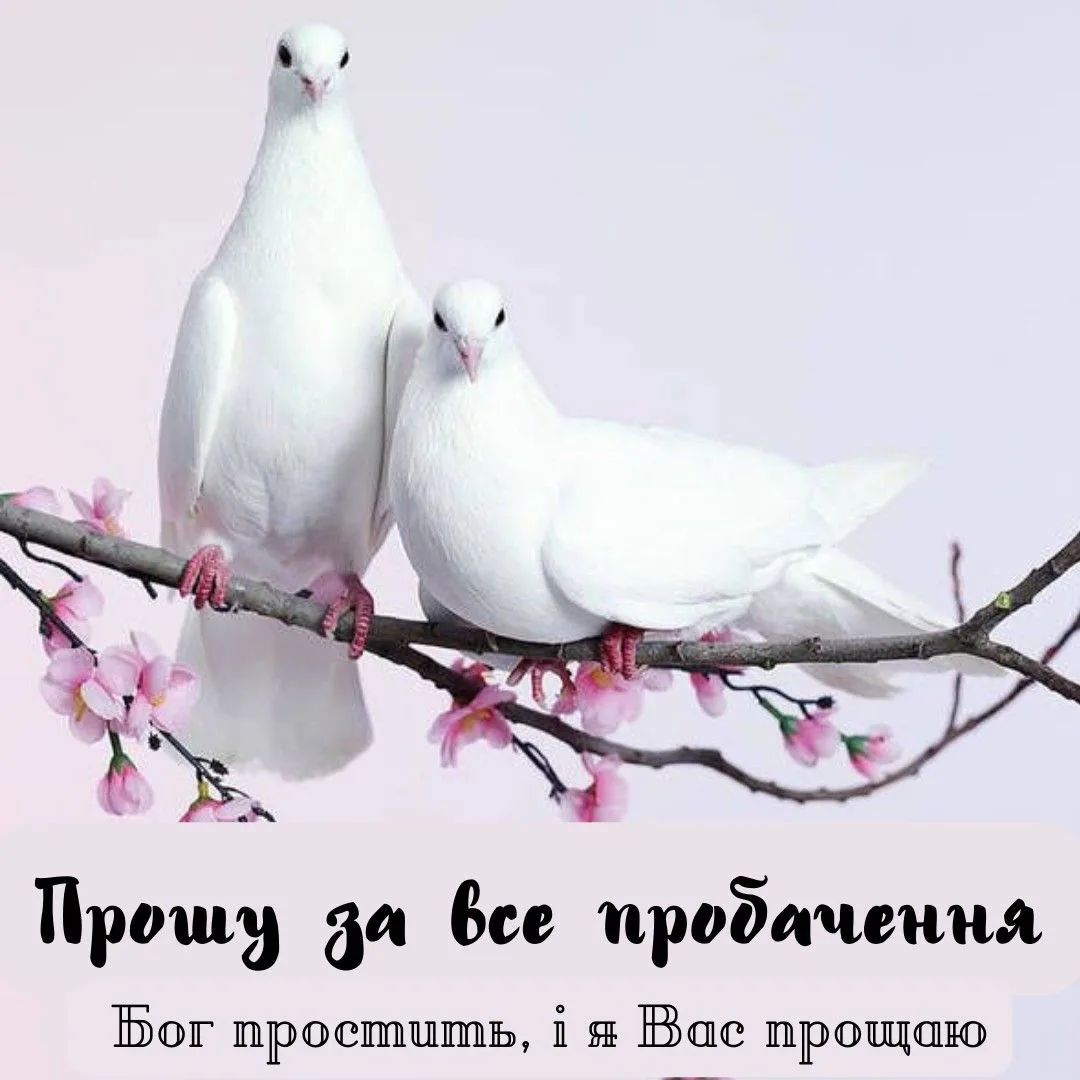 Прощена неділя: традиції свята та красиві листівки