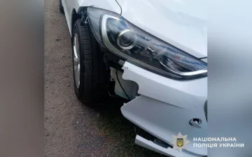 Водійка задавила собаку та її власника і втекла з місця ДТП: що кажуть в поліції Полтави