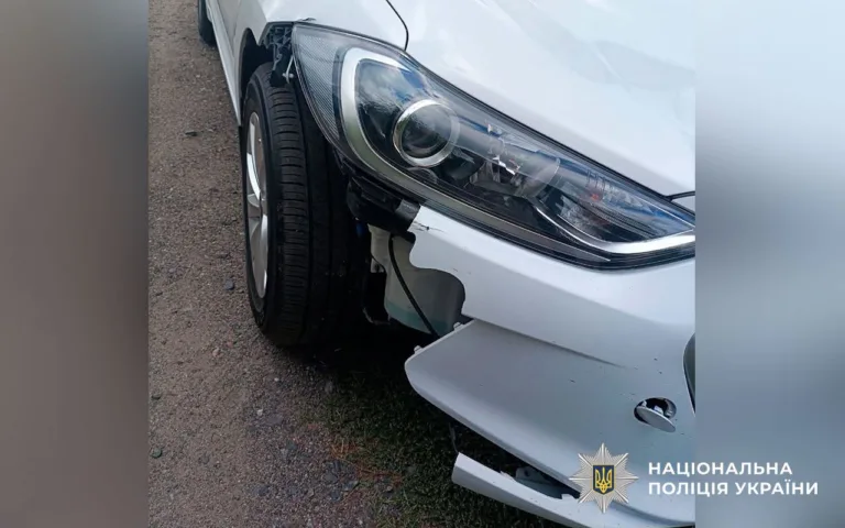 Водійка задавила собаку та її власника і втекла з місця ДТП: що кажуть в поліції Полтави
