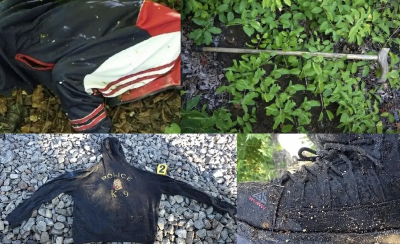 Біля залізниці на Полтавщині виявили тіло невідомого чоловіка: поліція просить допомоги в упізнанні