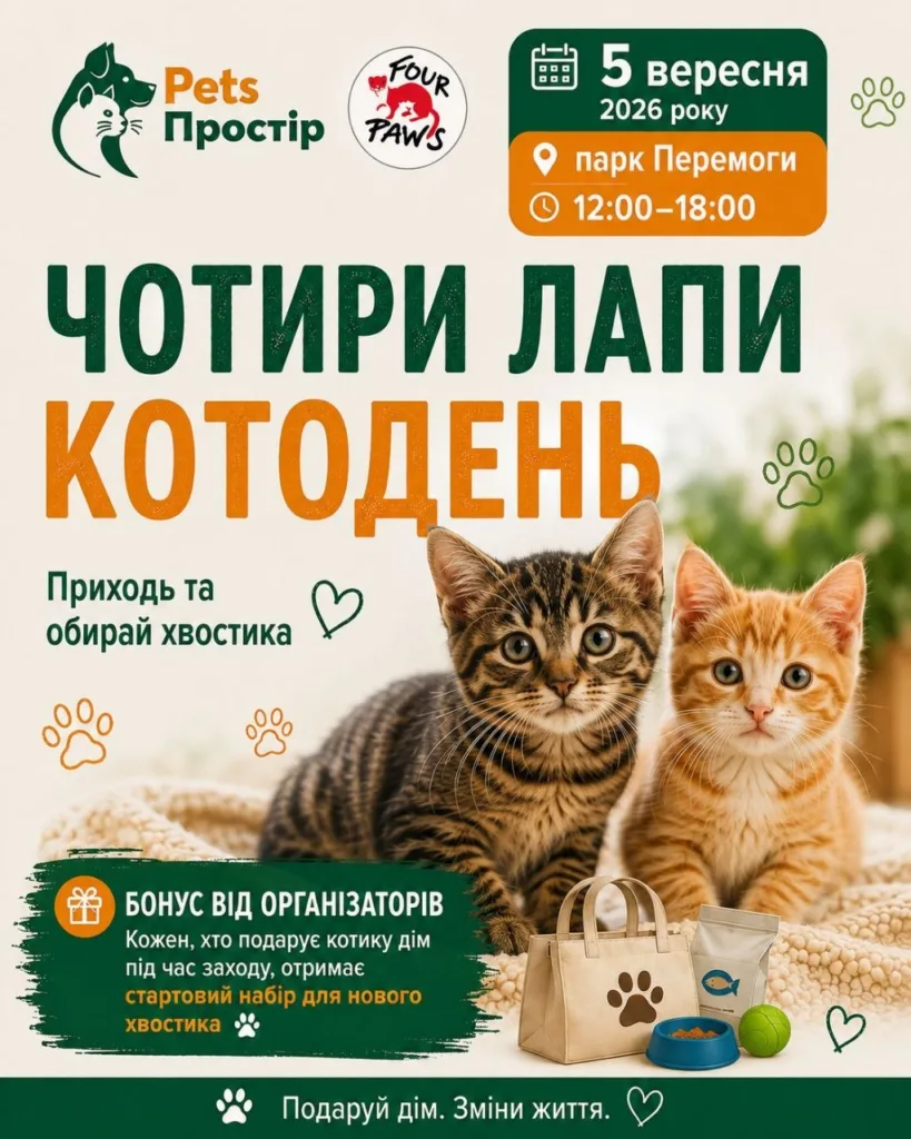 У Полтаві влаштують "Котодень": безпритульним котам шукатимуть нових господарів